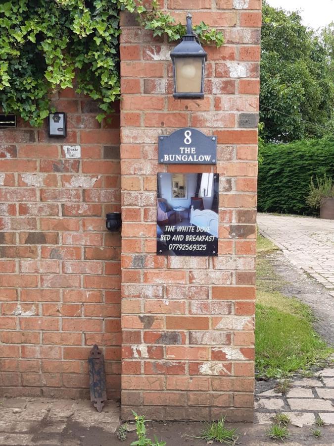The White Dove Bed And Breakfast With Bell Tents And Private Hot Tubs Coddington  Kültér fotó