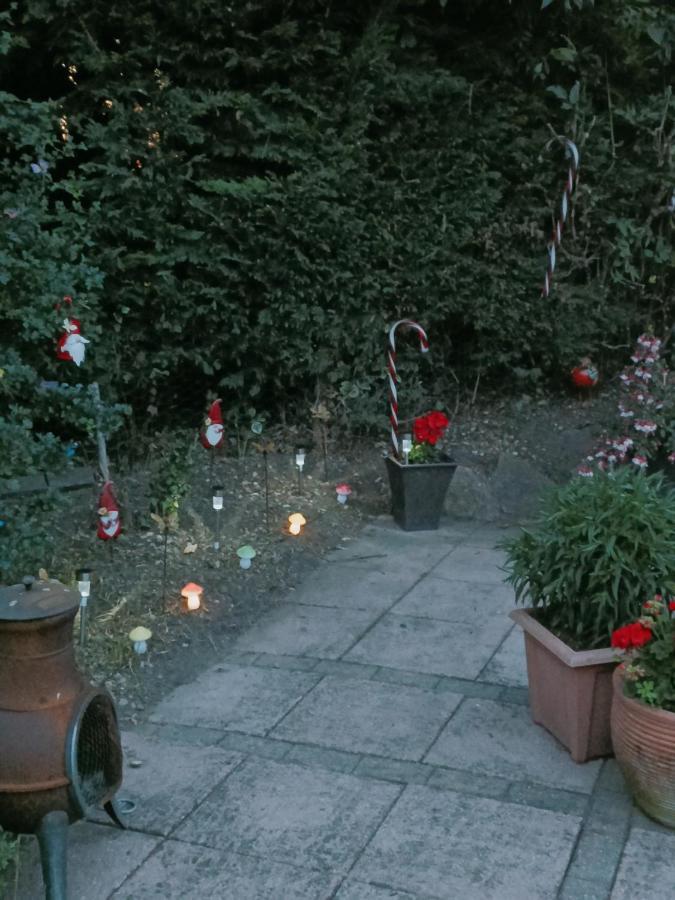 The White Dove Bed And Breakfast With Bell Tents And Private Hot Tubs Coddington  Kültér fotó